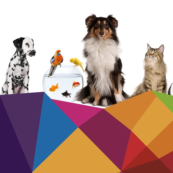 LEY DE PROTECCIÓN DE LOS ANIMALES 2023