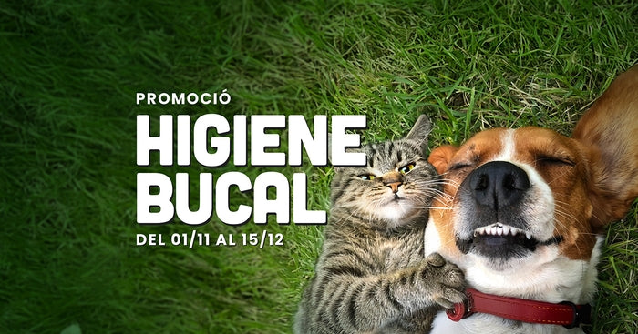 Campaña higiene bucal