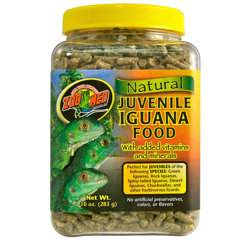 iguana junior