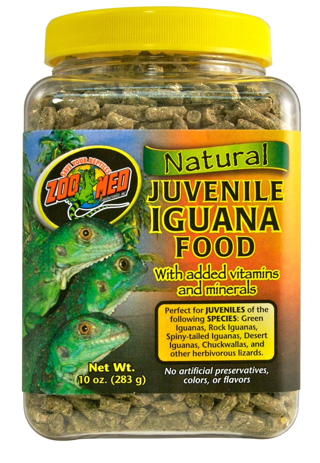 iguana junior