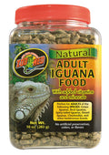 iguana adulta