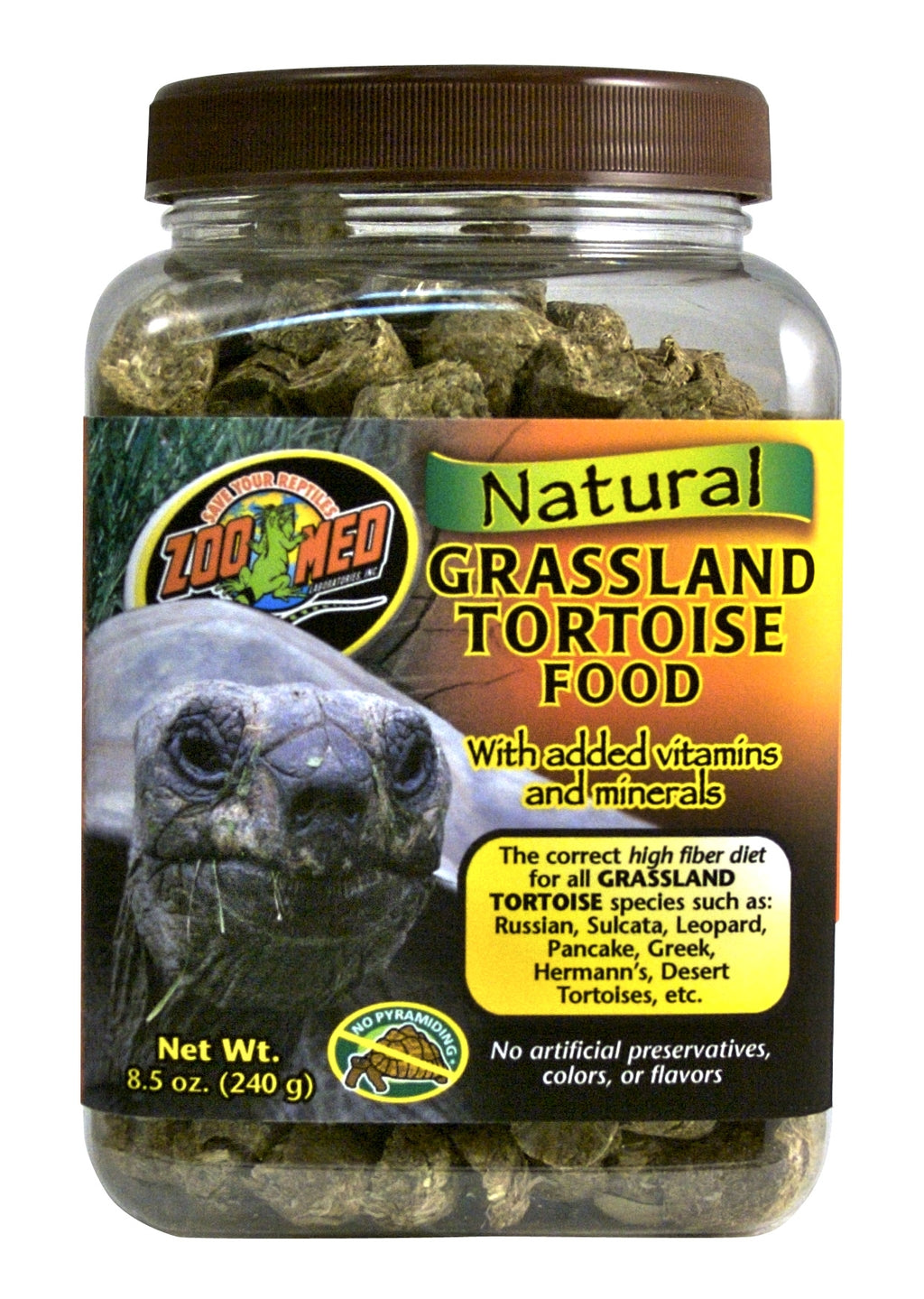 tortuga tierra Mediterranea Imagen principal del producto