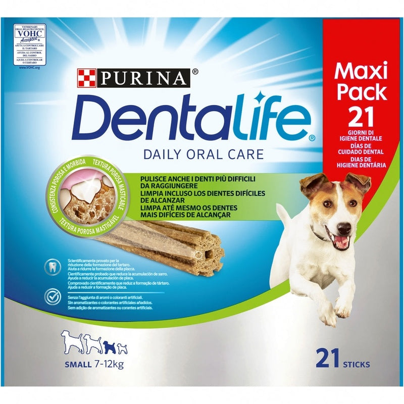 perro pequeño Dentalife