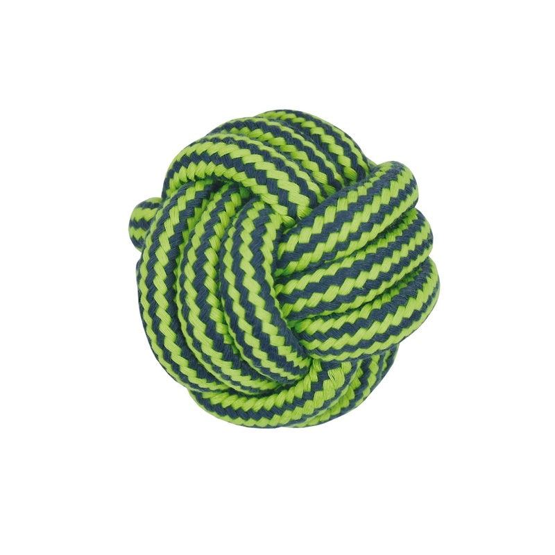 pilota dental bicolor