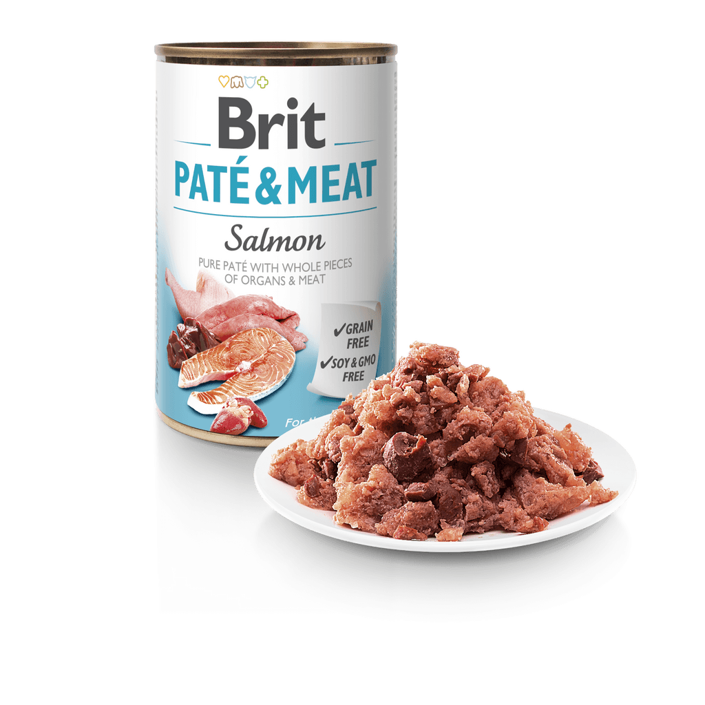 Dog grain free paté & meat salmó 400 g