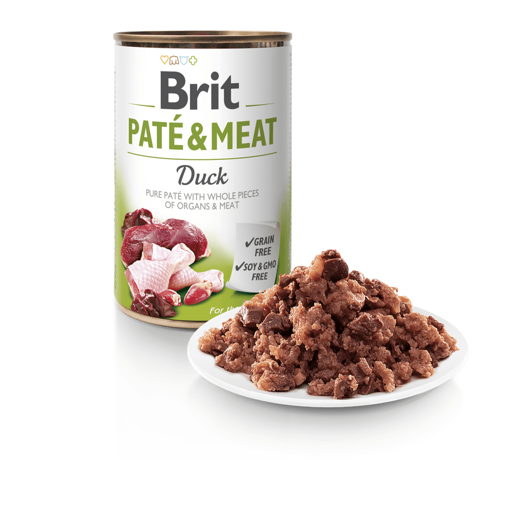 Dog grain free paté & meat ànec 400 g