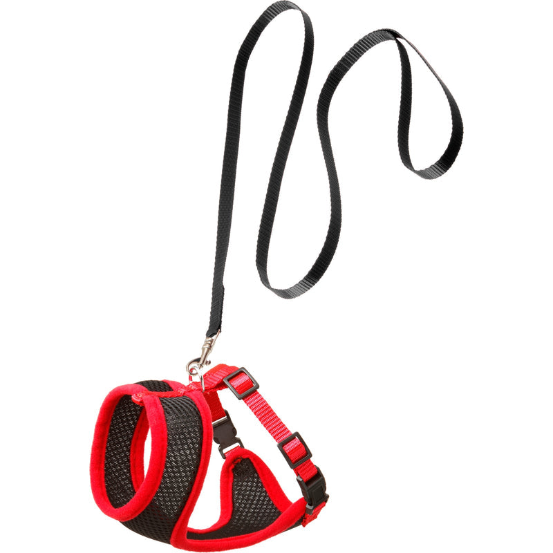 gato negro rojo