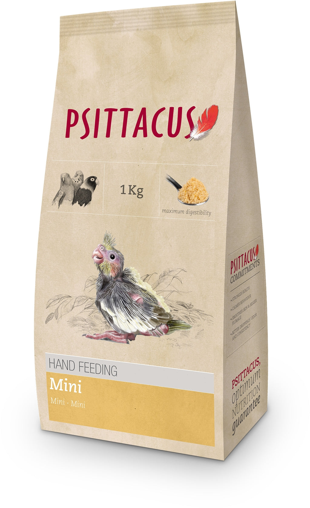 papilla loros mini