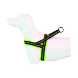 Freedog Soft-Sport Groc