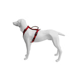Freedog Extreme Vermell