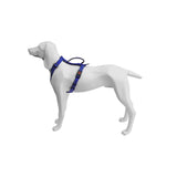 Freedog Extreme Blau