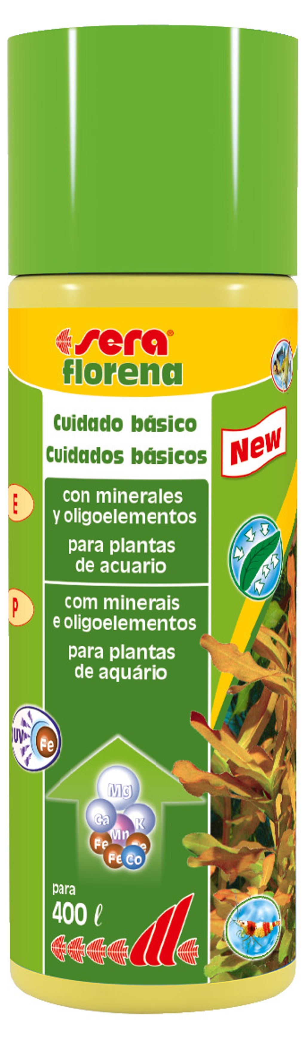 Florena
