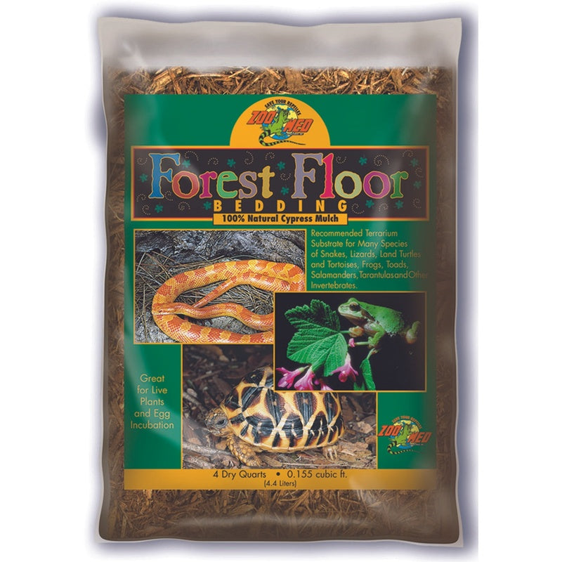 forest floor
