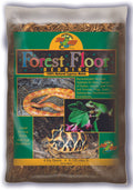 forest floor