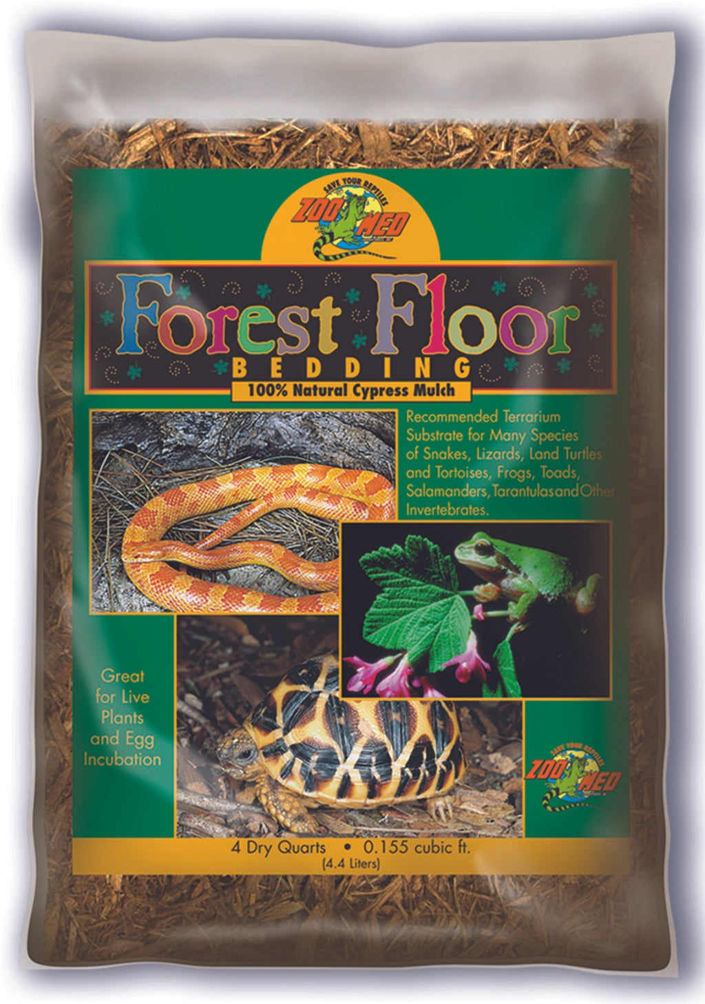 forest floor
