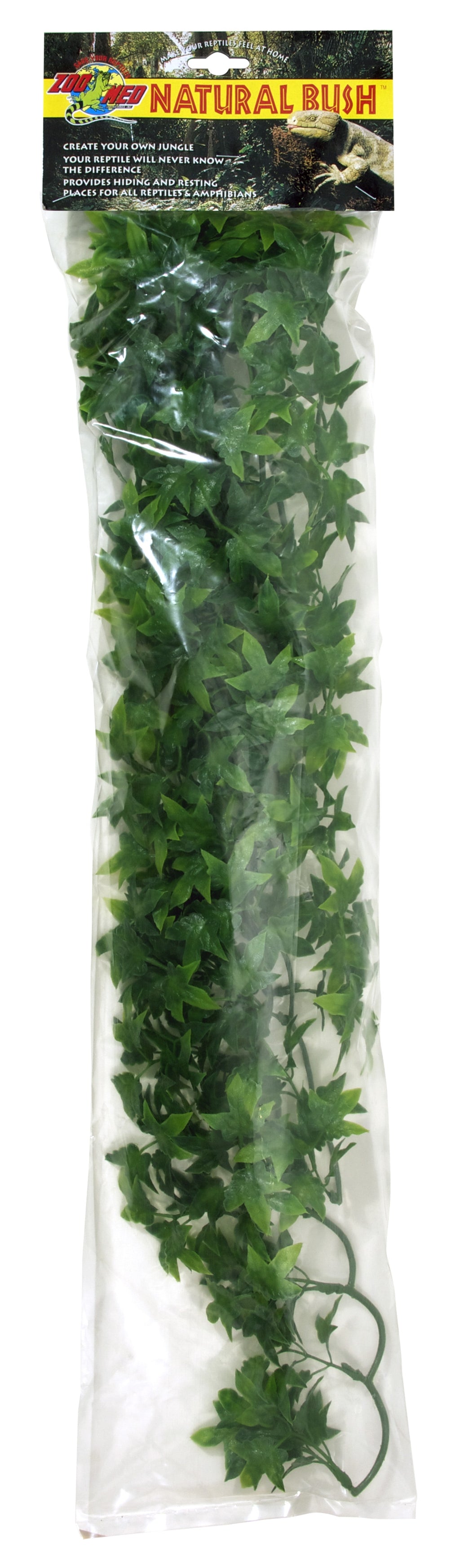 congo ivy Imatge principal del producte