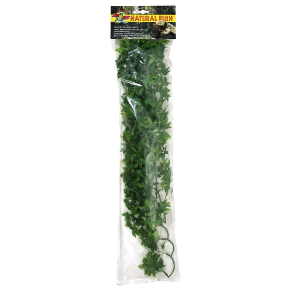 ambgo ivy