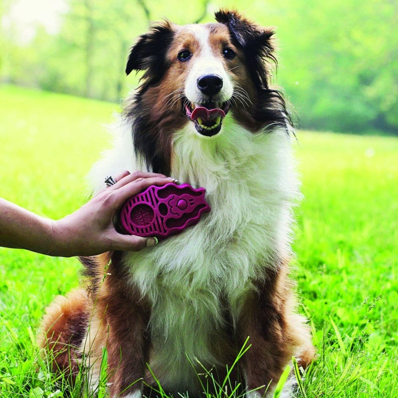 raspall zoom groom gos