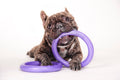 Puller petit 18 cm