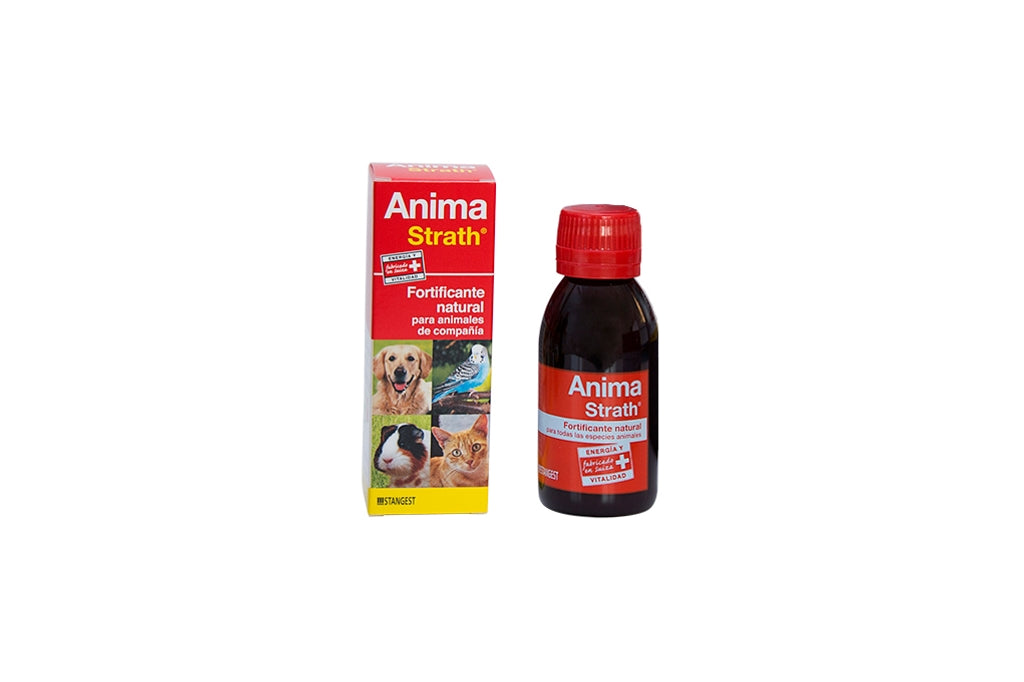 Stangest Anima-Strath Solució Oral Imatge secundària del producte