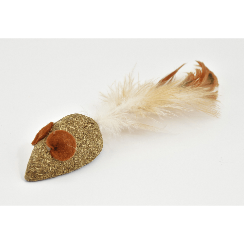 catnip amb pluma 5 cm Imatge principal del producte