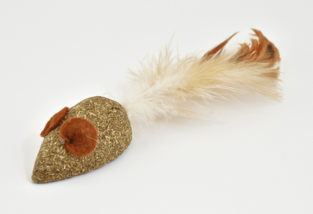 catnip con pluma 5cm