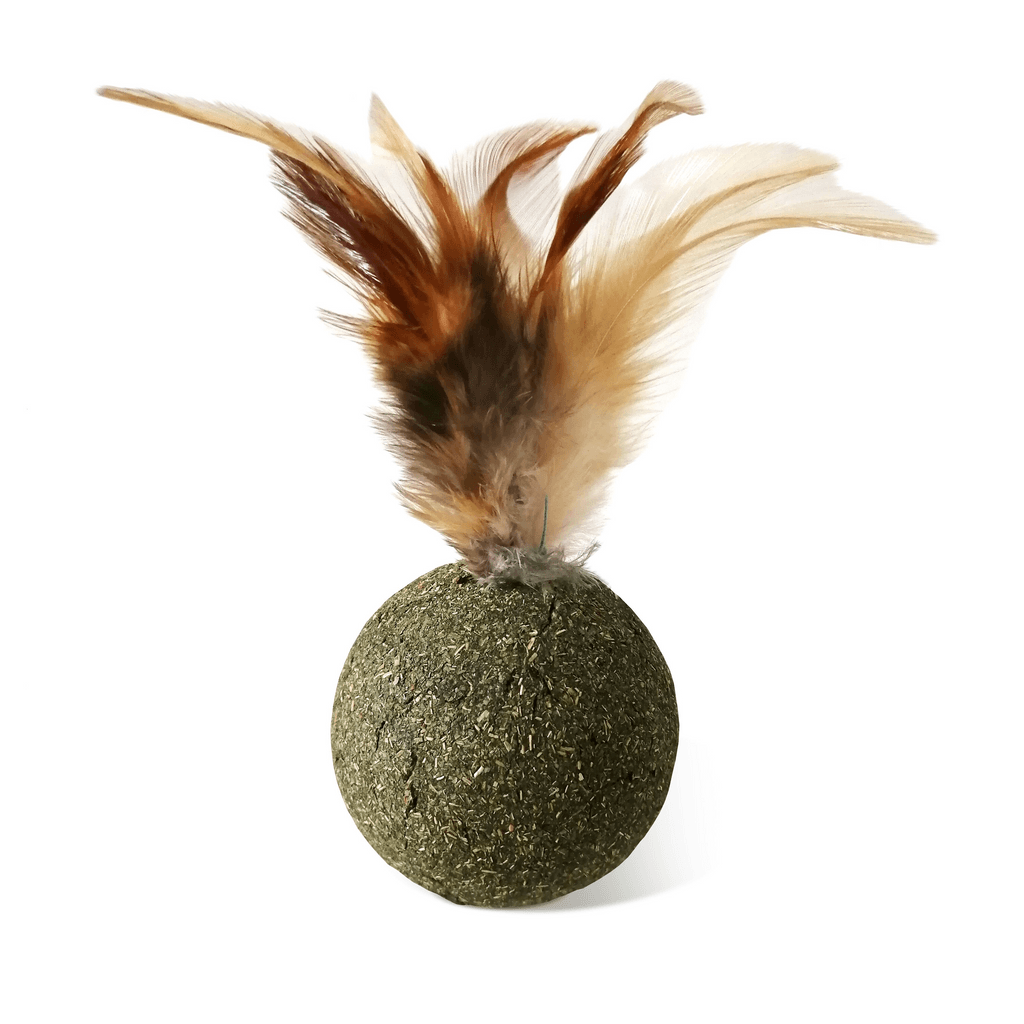 catnip con pluma 1un