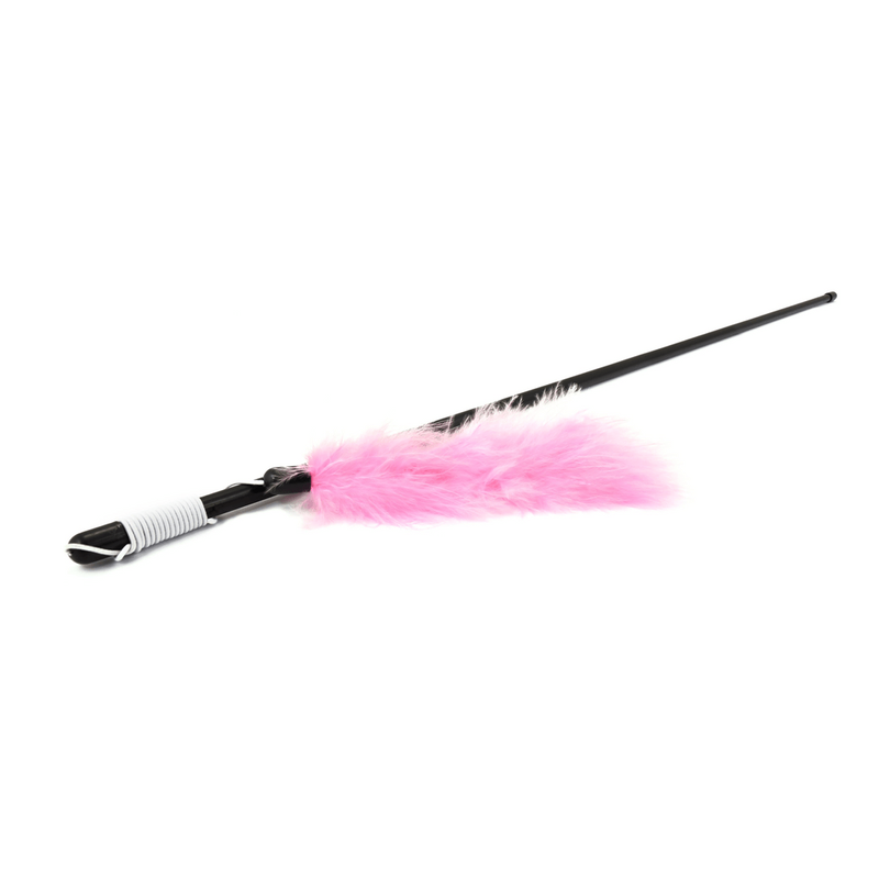 amb pluma colors 48 cm