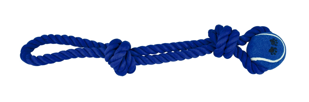 dental nudo + 1 pilota  45 cm