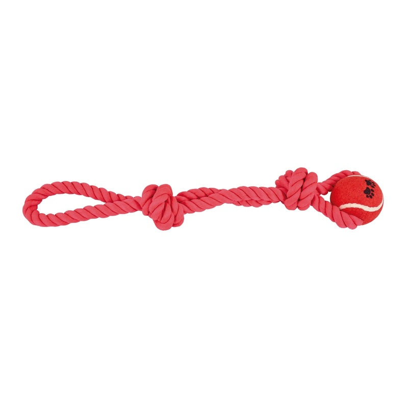 dental nudo + 1 pilota  45 cm