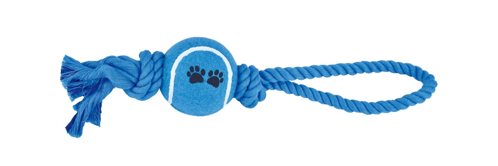 dental amb pilota i asa 33 cm