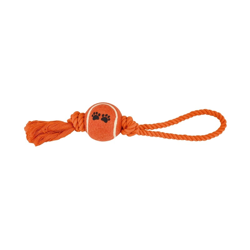 dental con pelota y asa 33cm