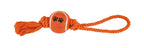 dental amb pilota i asa 33 cm