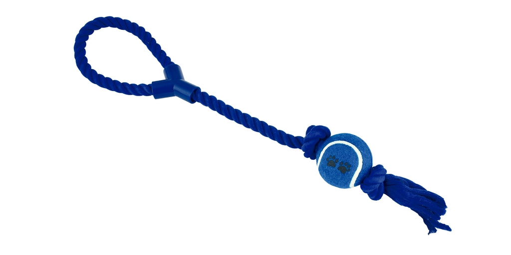 dental amb pilota i asa 50 cm