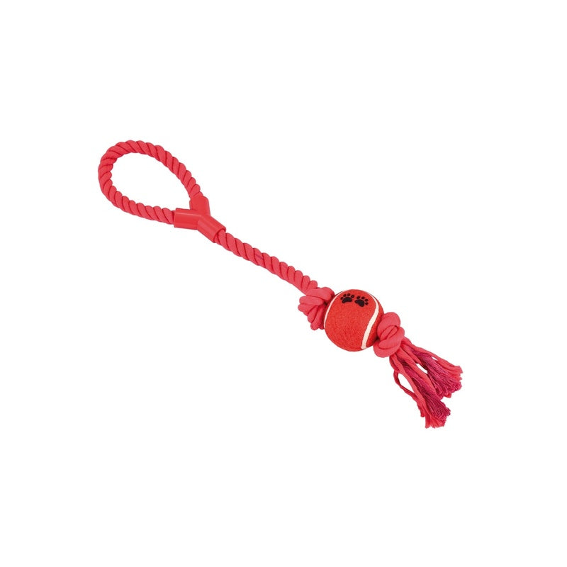 dental con pelota y asa 50cm