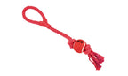 dental amb pilota i asa 50 cm