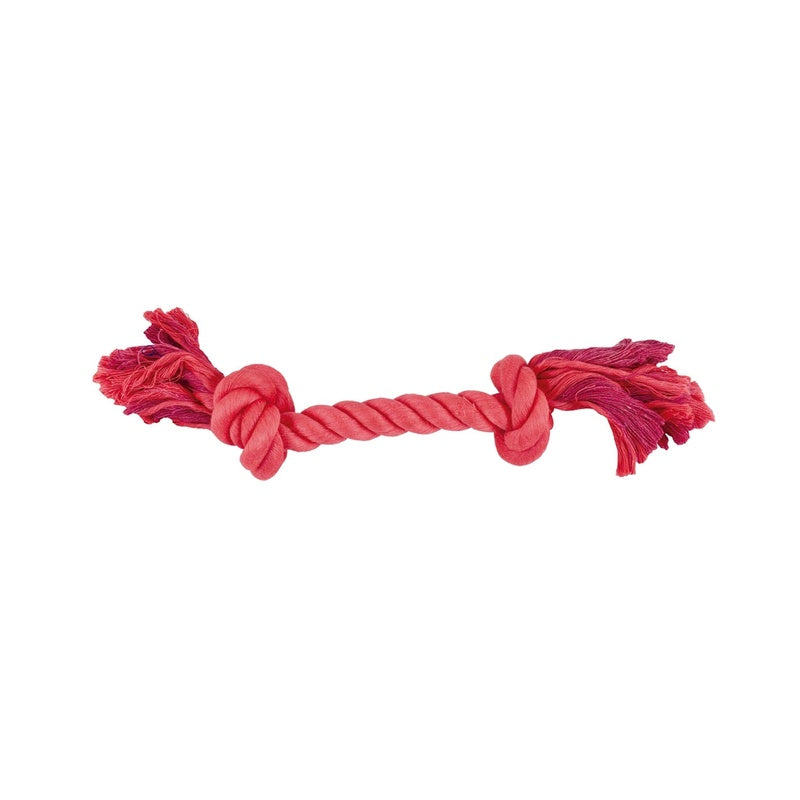 dental lisa 18cm
