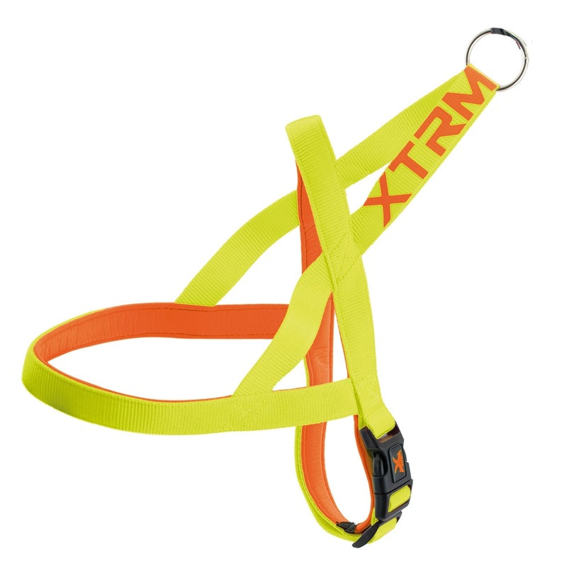 X-trm neon flash limón 20mmx60-71cm