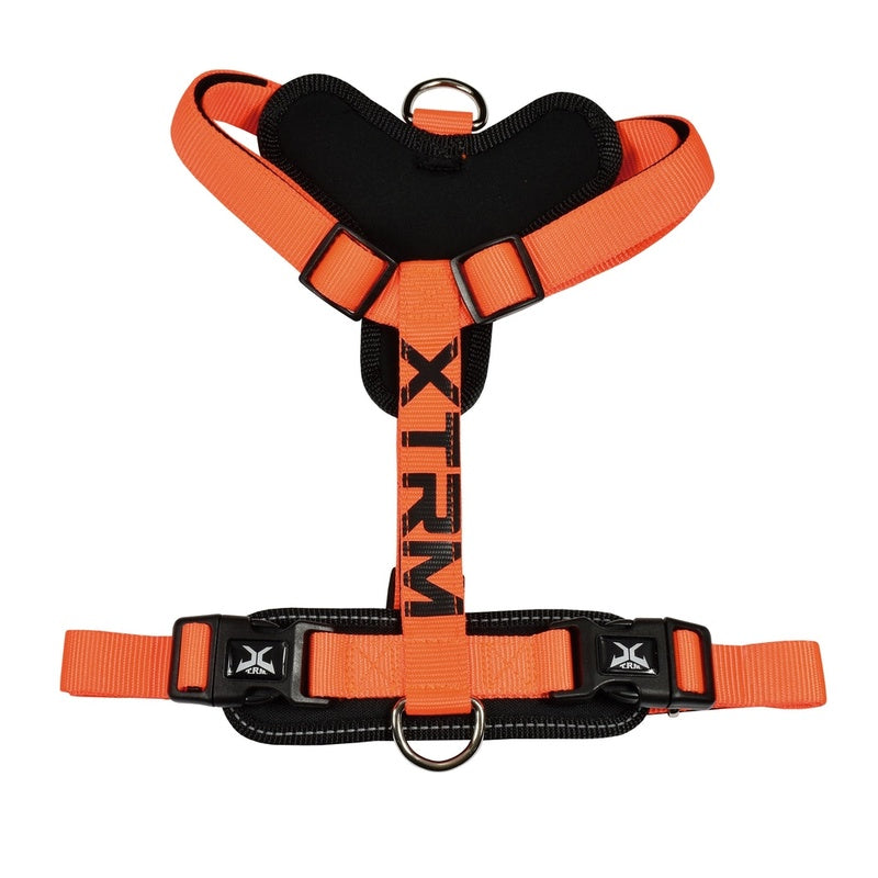 X-trm cronos neon flesh taronja 15mmx35-60 cm