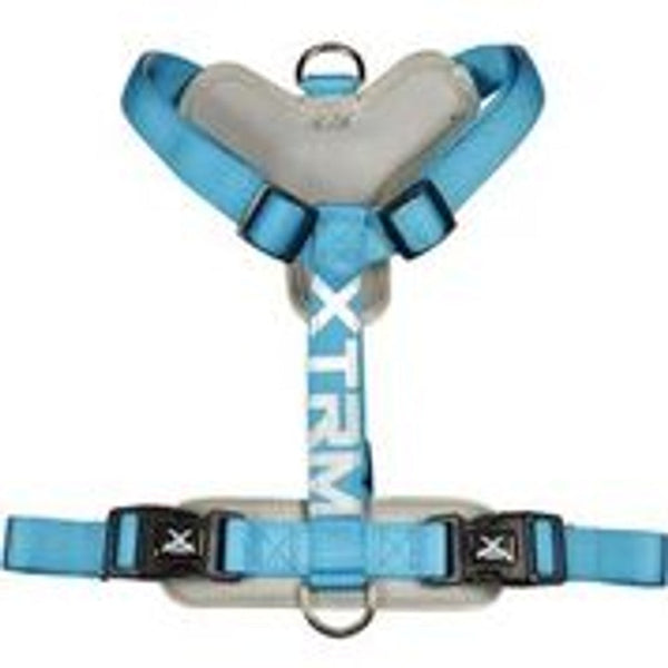 X-trm cronos neon flash azul