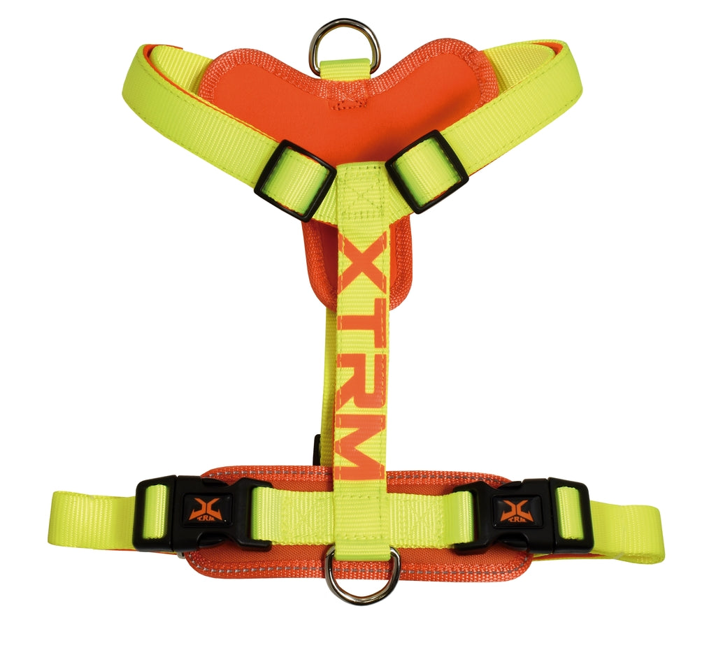 X-trm cronos neon flash limón 15mmx35-60 cm