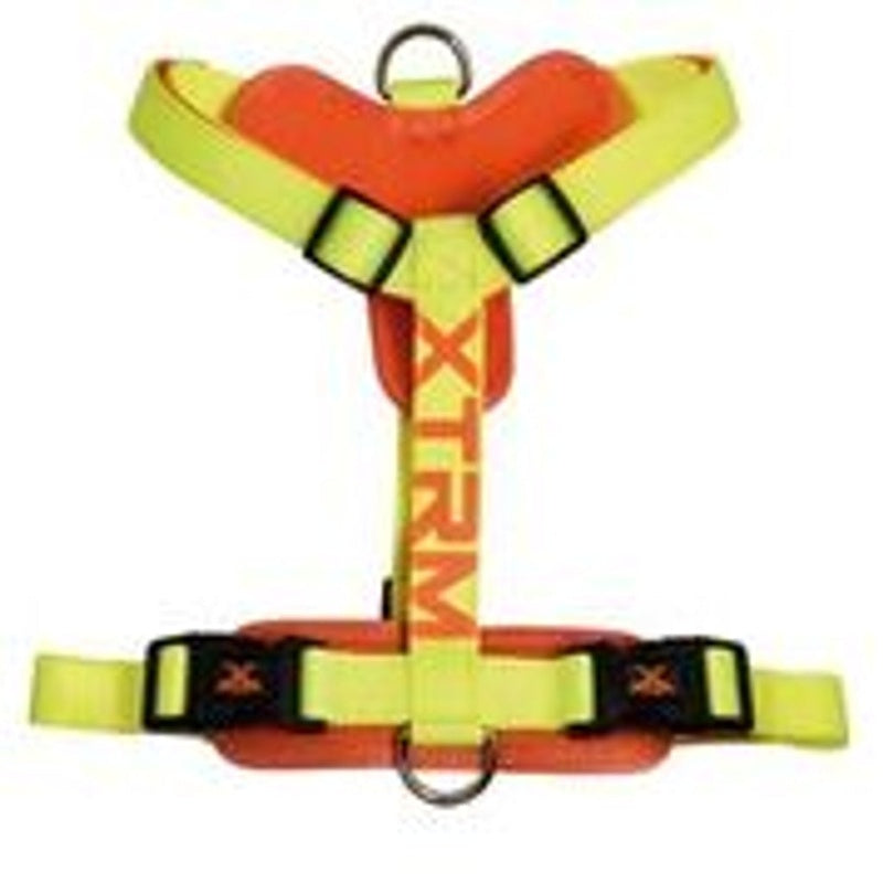 X-trm cronos neon flash limón
