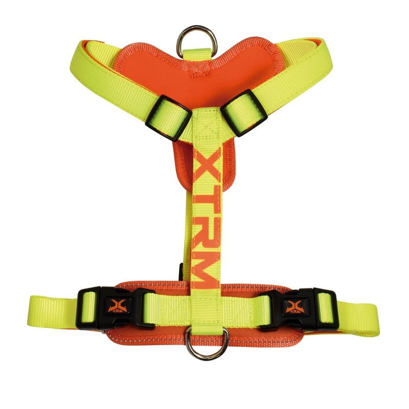X-trm cronos neon flash limón 25mmx60-100cm