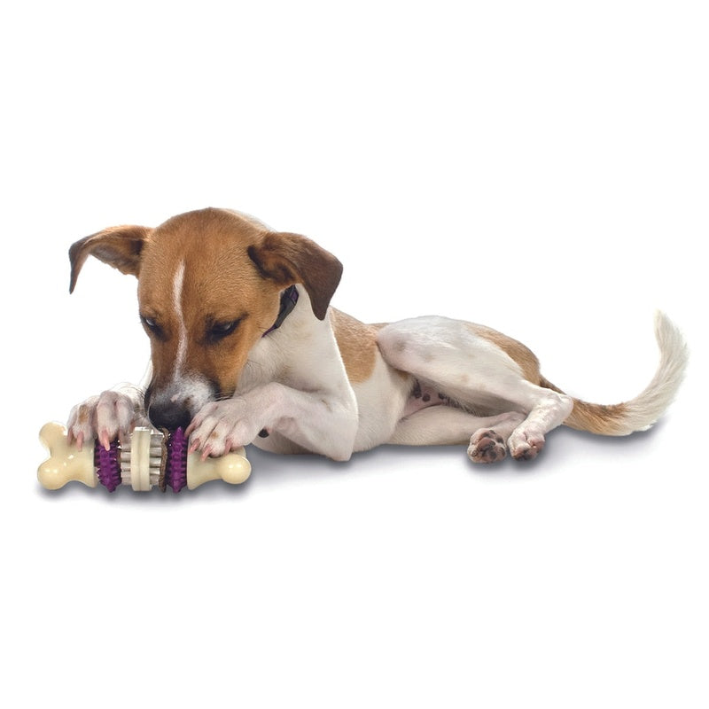bristle bone M