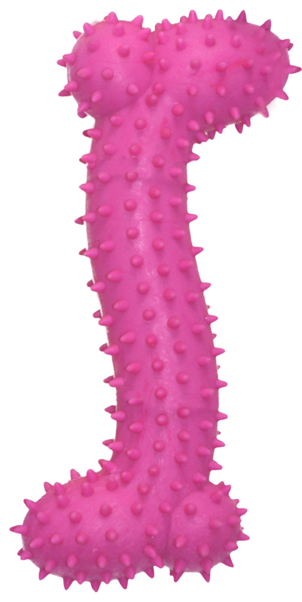 hueso con pinchos 16cm 1u Imagen principal del producto