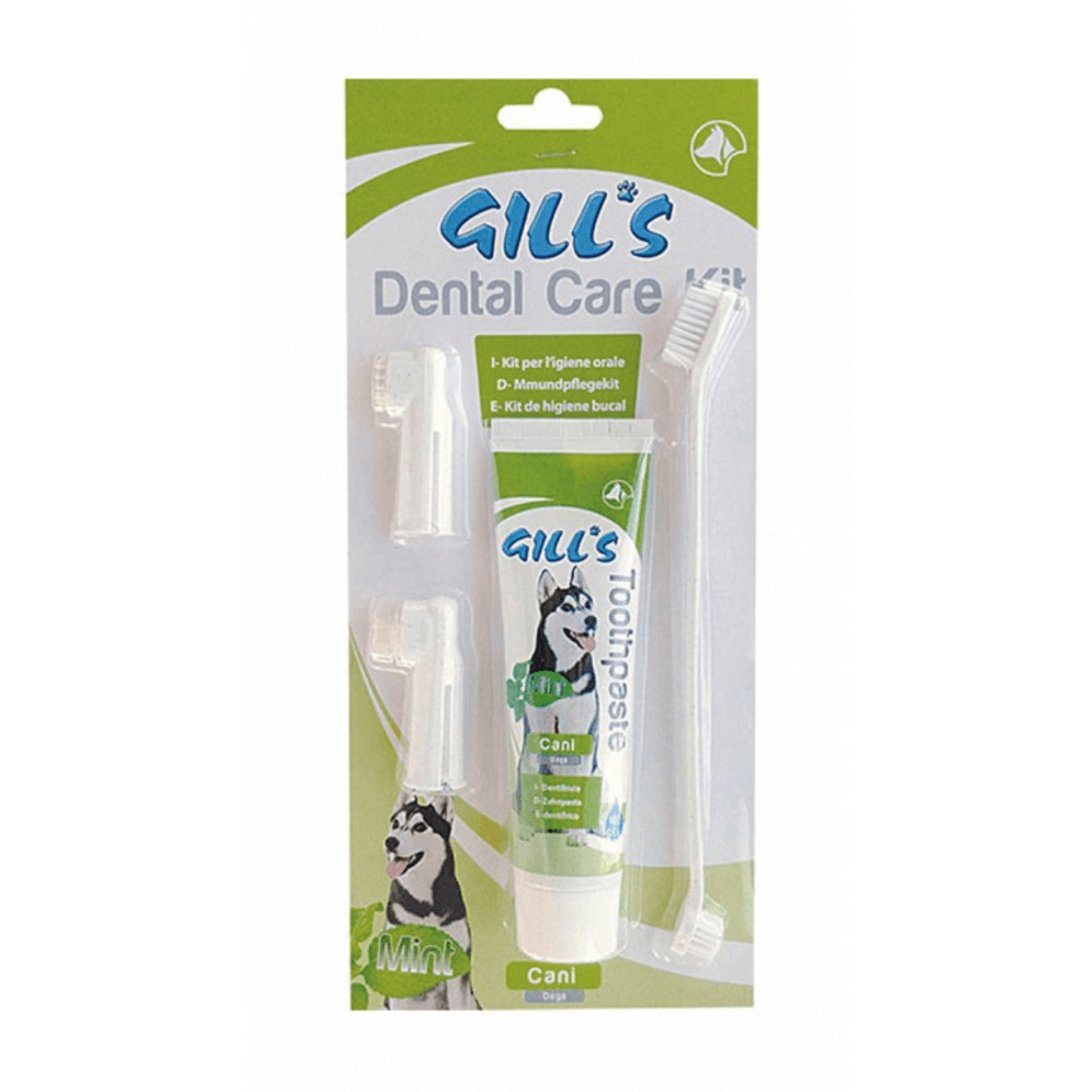 kit dental care Imatge principal del producte