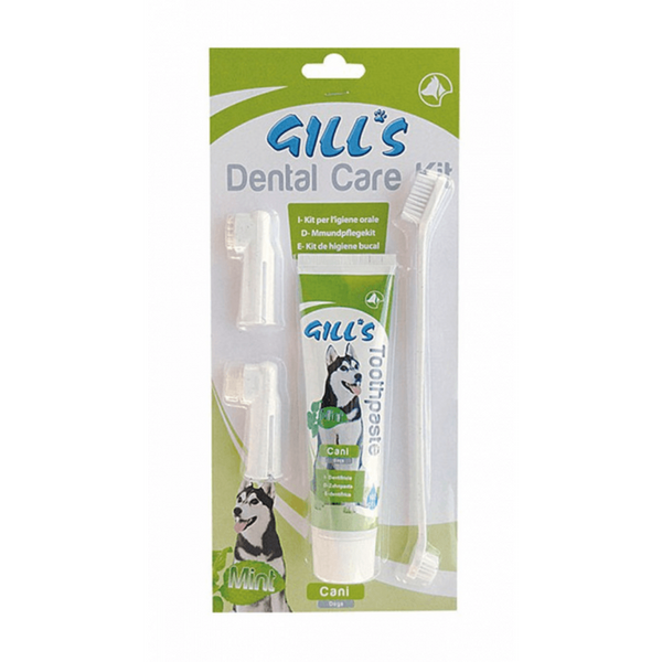 kit dental care