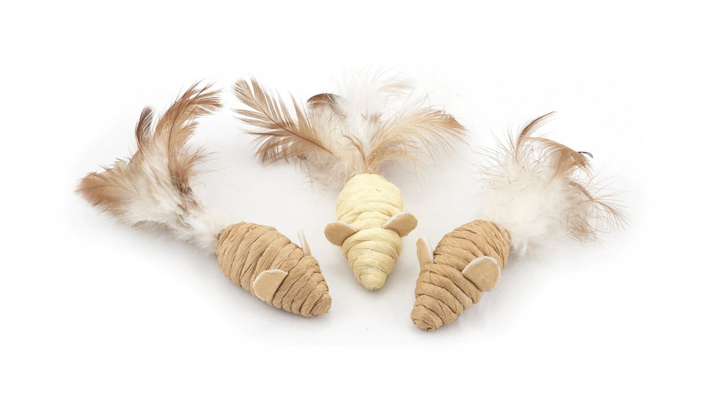 gat pack catkins