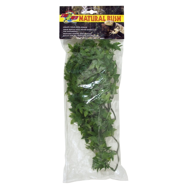 congo ivy M 55cm