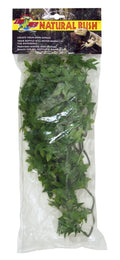 congo ivy M 55cm